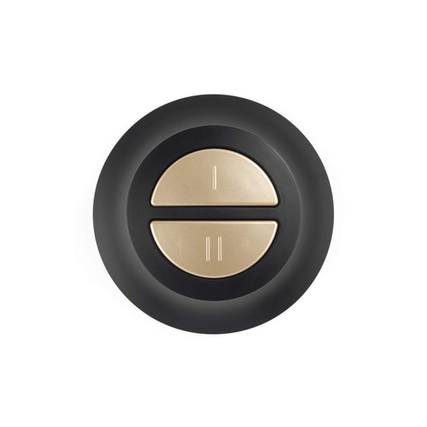 Black and gold double push button wall switch, shown from above.