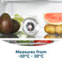 Salter fridge and freezer thermometer in retail packaging, shows dial and hanging hook.