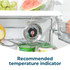 Salter fridge thermometer attached to shelf, fresh fruit and vegetables visible.