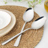 Pair of silver dessert spoons with straight handles on white background