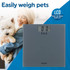 Digital bathroom scale with easy-to-read LCD display shown weighing a small dog.