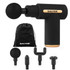 Black Salter massage gun with gold trim, four attachments and carry pouch.