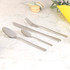 Stainless steel dining fork, plain handle, shown on white background