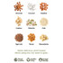 Grid showing almonds, coconut, hazelnut, cashew, pistachio, oats, tiger nuts, pecan, macadamia for plant-based drinks.