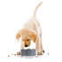 Digital Pet Food Scale – Smart Dog Bowl, Grey Digital Pet Food Scale – Smart Dog Bowl, Grey