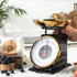 Timeless Mechanical Kitchen Scale - Black/Gold