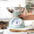 Salter mechanical kitchen scale packaging with retro-inspired mint green scale and bowl of cherries.
