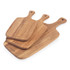 Set of three rectangular wooden chopping boards with handles, branded Salter.