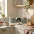 Set of sage green kitchen canisters with wooden lids on countertop, one with tea bags