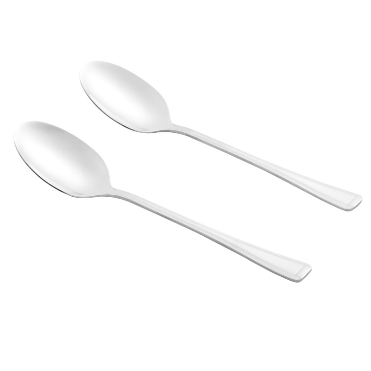 two stainless steel serving spoons