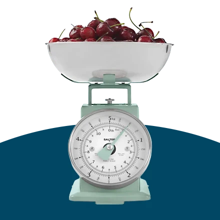 Salter Timless Kitchen Scales