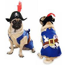Zack Zoey Pirate Pup Costume