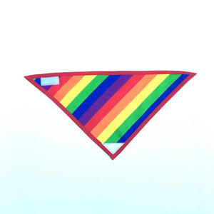 Michiyo Bandana Pride