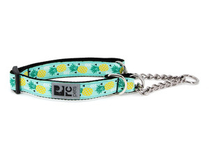 RC Training Collar Pineapple Parade