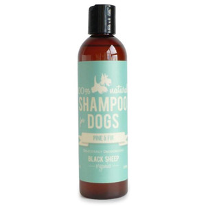 Black Sheep Pine & Fir Shampoo 8oz *DNO*
