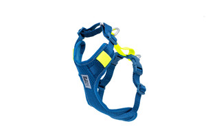 RC Moto Control Harness Arctic Blue/Tennis