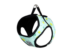 RC Step In Cirque Harness Pineapple Parade