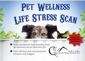 Pet Wellness Allergy Test