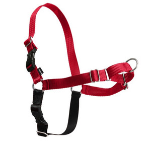 Easy Walk Harness w/ Leash Red Easy Walk Harness w/ Leash Red
