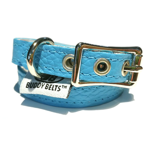 Buddy Belt Collar-Blue Buddy Belt Collar-Blue
