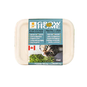 Lucky Kitty Rye Grass Garden Kit Lucky Kitty Rye Grass Garden Kit