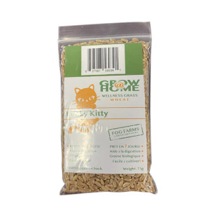 Lucky Kitty Wheat Grass Seeds Lucky Kitty Wheat Grass Seeds