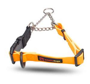 SmellyDogz Martingale Collar-Orange SmellyDogz Martingale Collar-Orange