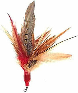 Go Cat Wild Thing Go Cat Wild Thing