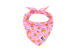 RC Zephyr Cooling Bandana Zesty RC Zephyr Cooling Bandana Zesty