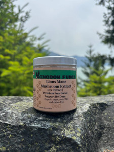 Kingdom Fungi Lion’s Mane Mushroom Extract Powder