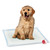 Simply Essentials Puppy Training Pads
