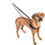 Freedom No Pull Harness & Leash Black Freedom No Pull Harness & Leash Black