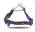 SmellyDogz Martingale Collar- Purple SmellyDogz Martingale Collar- Purple