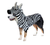 Amazing Pet Wannabe Zebra Costume