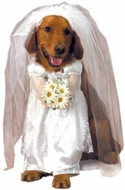 Hocus Pocus Front View Bride Dog Costume