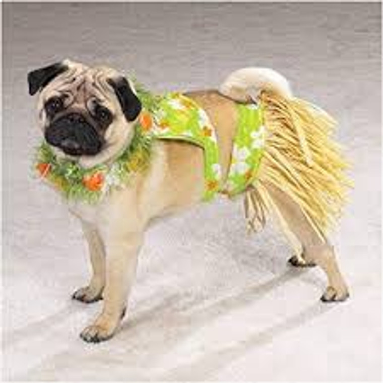 Casual Canine Hula Pup Costume