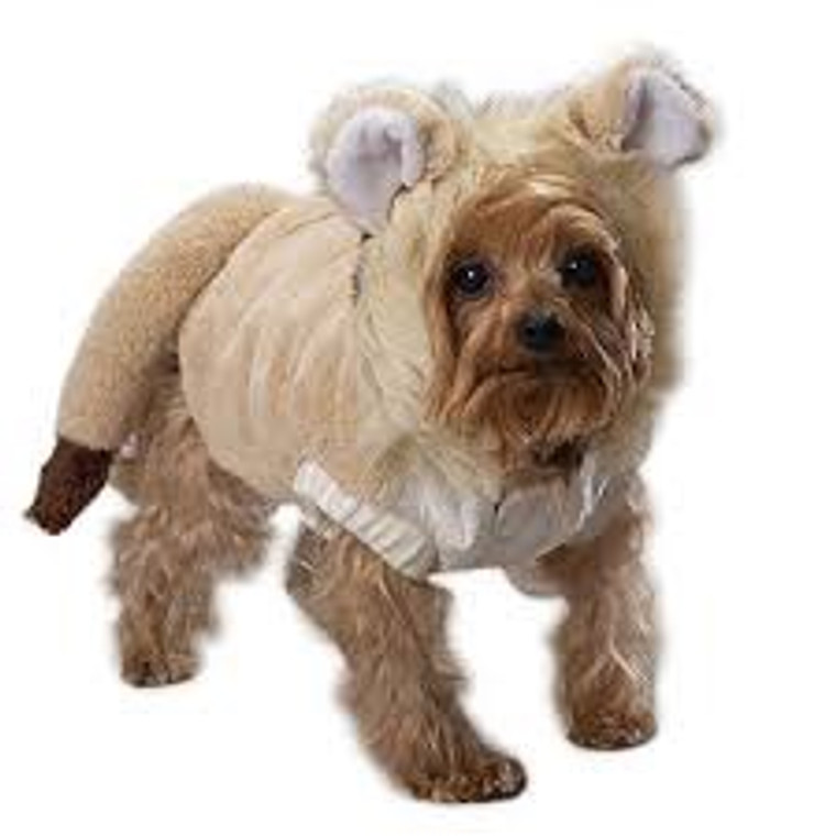 Casual Canine Lil Lion Costume