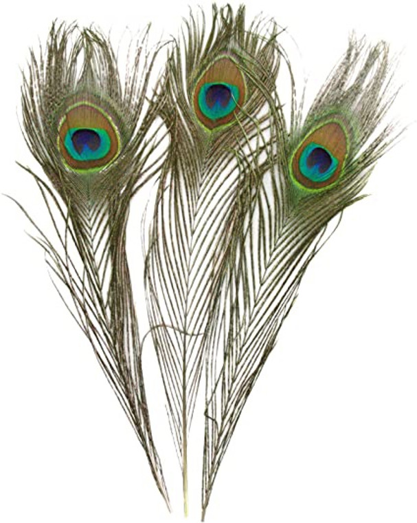 Natural Peacock Feather