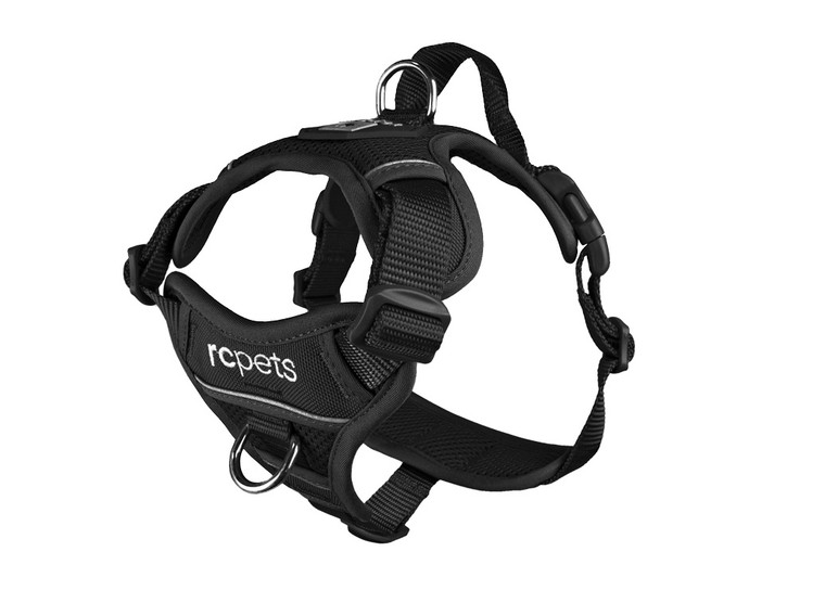 RC Momentum Control Harness Black