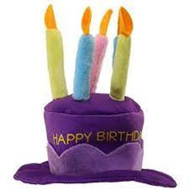PetSport Birthday Hat