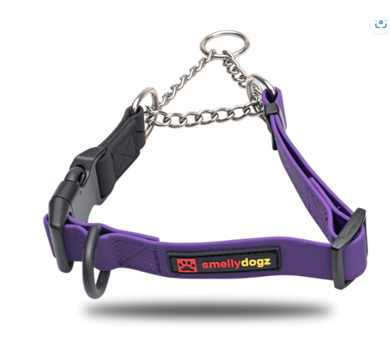 SmellyDogz Martingale Collar- Purple