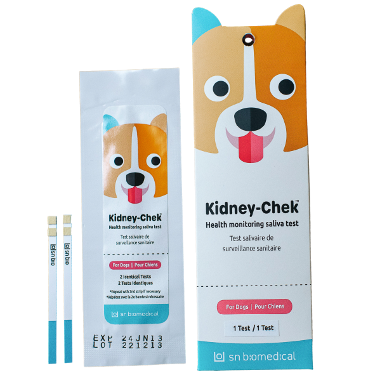 Kidney Check For Dogs