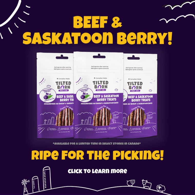 Tilted Barn Beef And Saskatoon Berry Treats