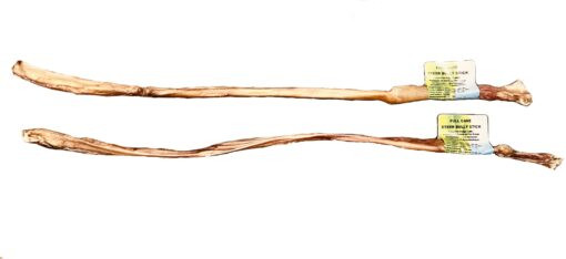 Nature's Own Steer Bully Stick Cane 18"-24"