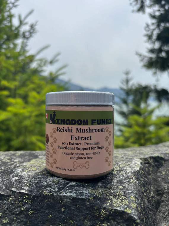 Kingdom Fungi Reishi Mushroom Extract Powder