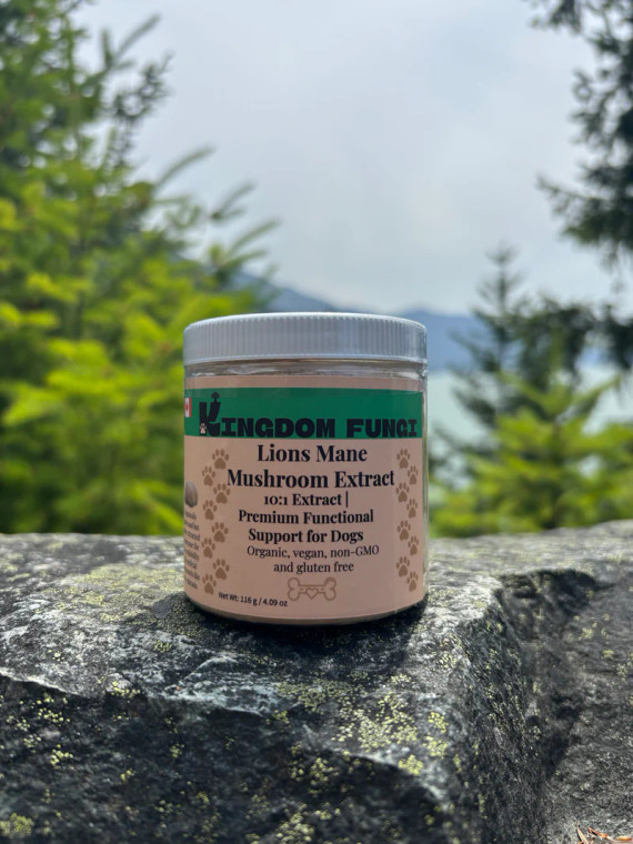 Kingdom Fungi Lion’s Mane Mushroom Extract Powder