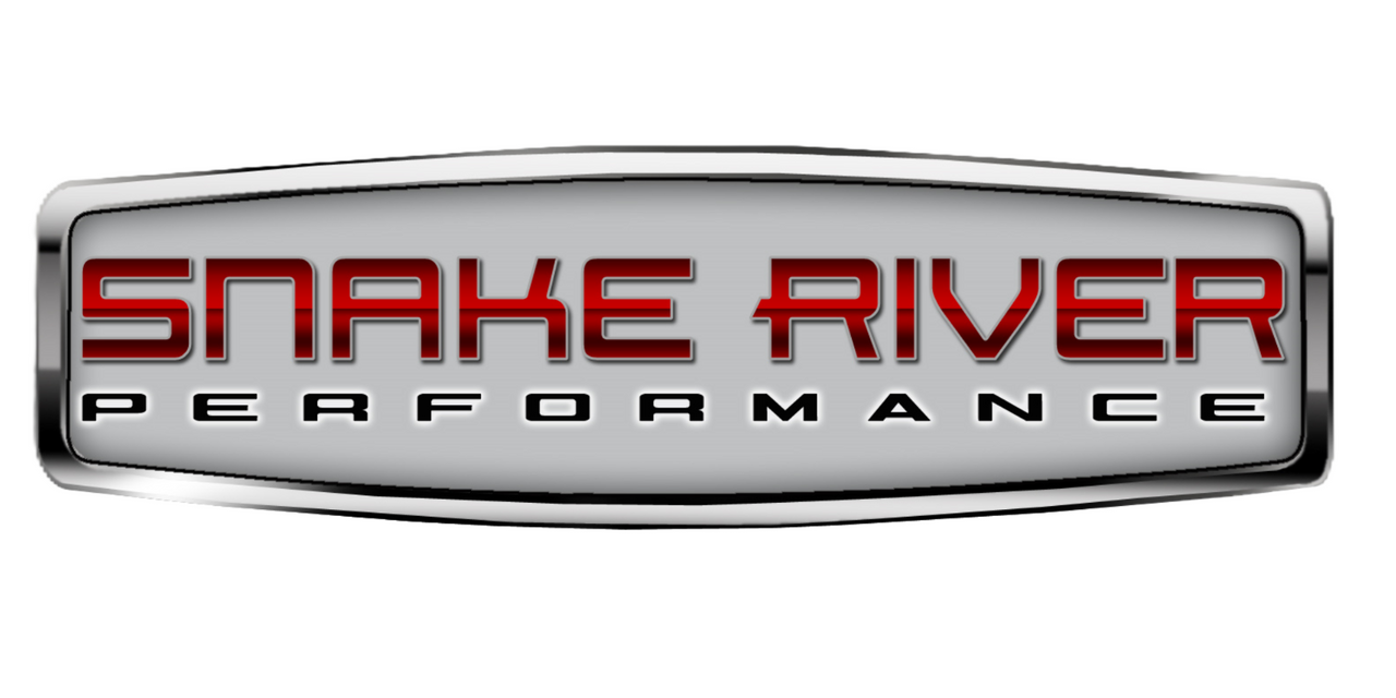 AFE Magnum FORCE Cold Air Intake Pro 5R For 97-04 Ford F-150 4.6L 5.4L 54-10082