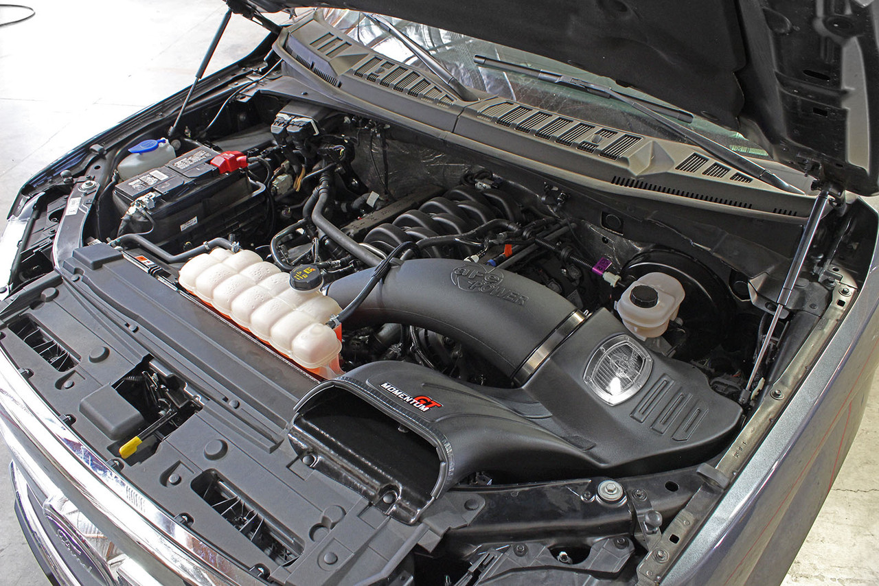 AFE Power Momentum GT Cold Air Intake DRY S For 15-20 Ford F-150 5L V8 51-73114