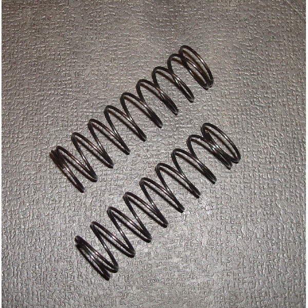 Xray 368285 REAR SPRING-SET C=0.40 - 2 DOTS (2) (XB4) - GS Hobby