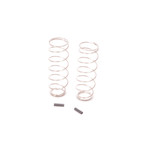 Aerox Long 1/10 Off-Road Rear Springs (Agile) (2) (Black/2.6lbs) (AER114)